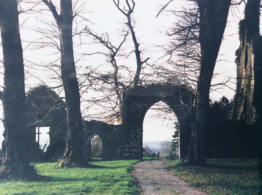Oakdale, Templemore, E41F856 Екстериор снимка